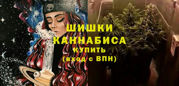 гидра Снежногорск