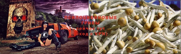 спиды Верхнеуральск