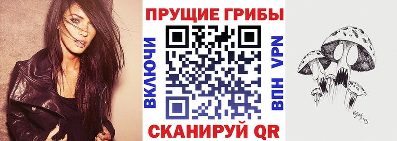 дарнет шоп  Десногорск  Галлюциногенные грибы MAGIC MUSHROOMS 